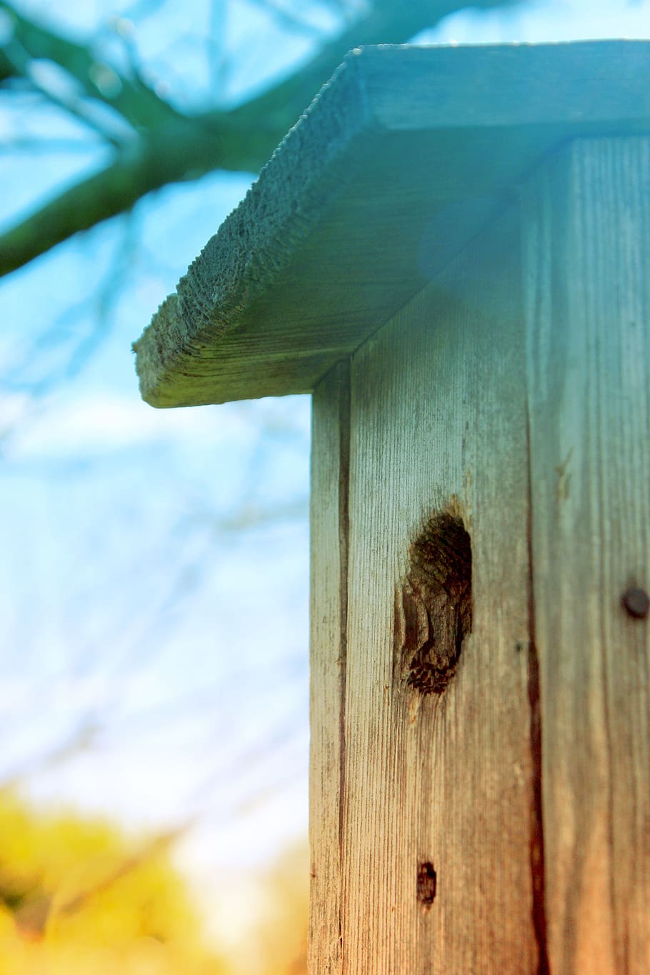 bird, birdhouse, summer, spring, wood - material, focus on foreground HD wallpaper