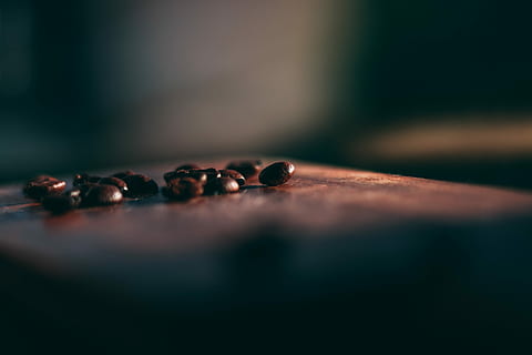 selective focus photo of coffee beans, black seeds, roasted, brown HD wallpaper