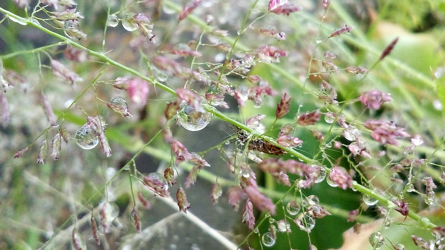 focus, camera, photo, video, photography, picture, professional HD wallpaper