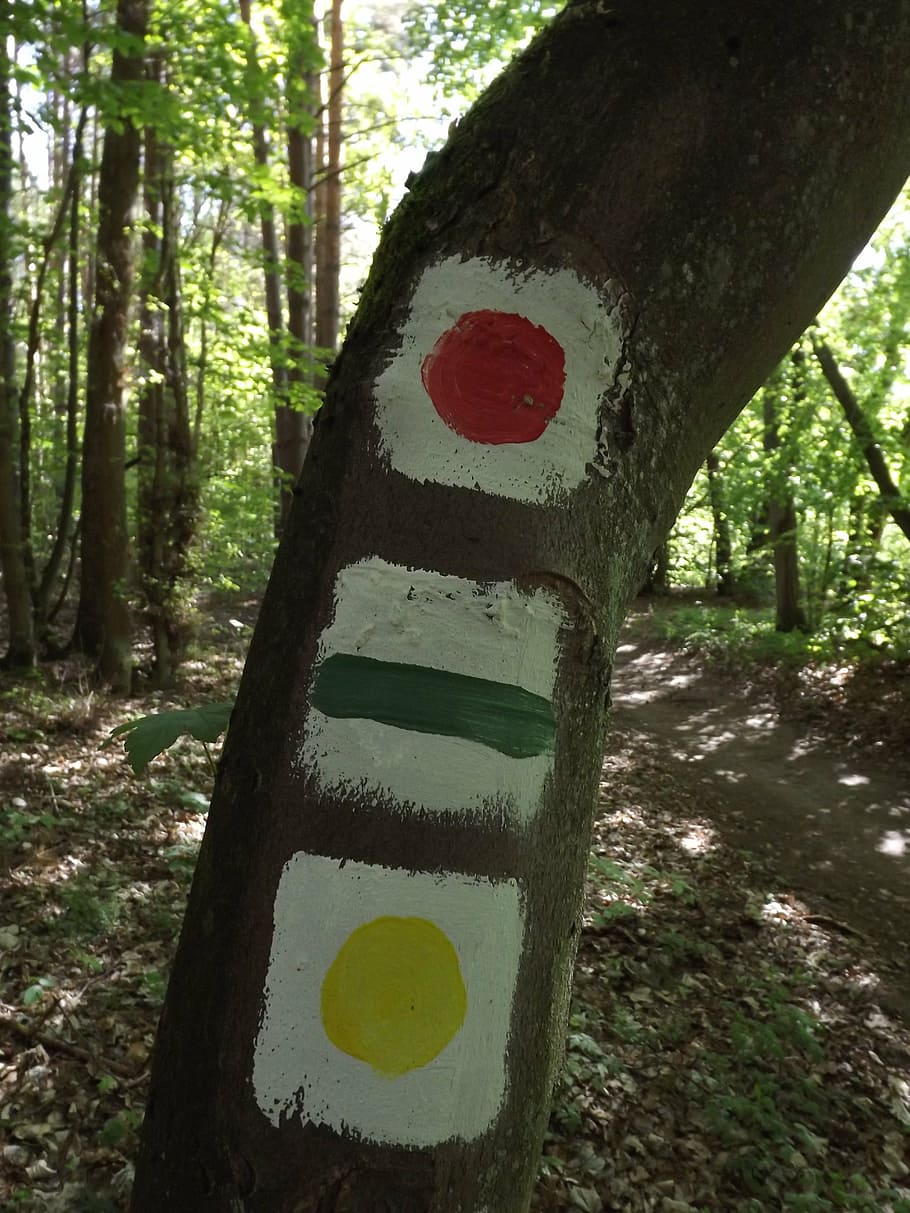 hiking trails, signpost, mark, waymarks, forest, nature, tree HD wallpaper