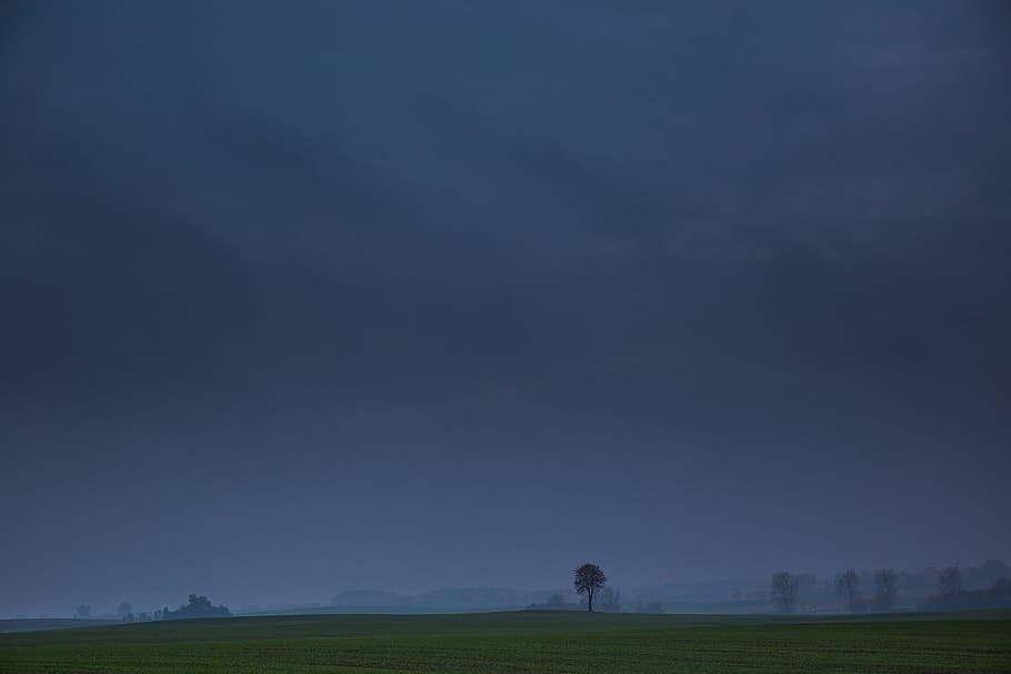 dark, night, evening, storm, clouds, cloudy, field, grass, trees HD wallpaper