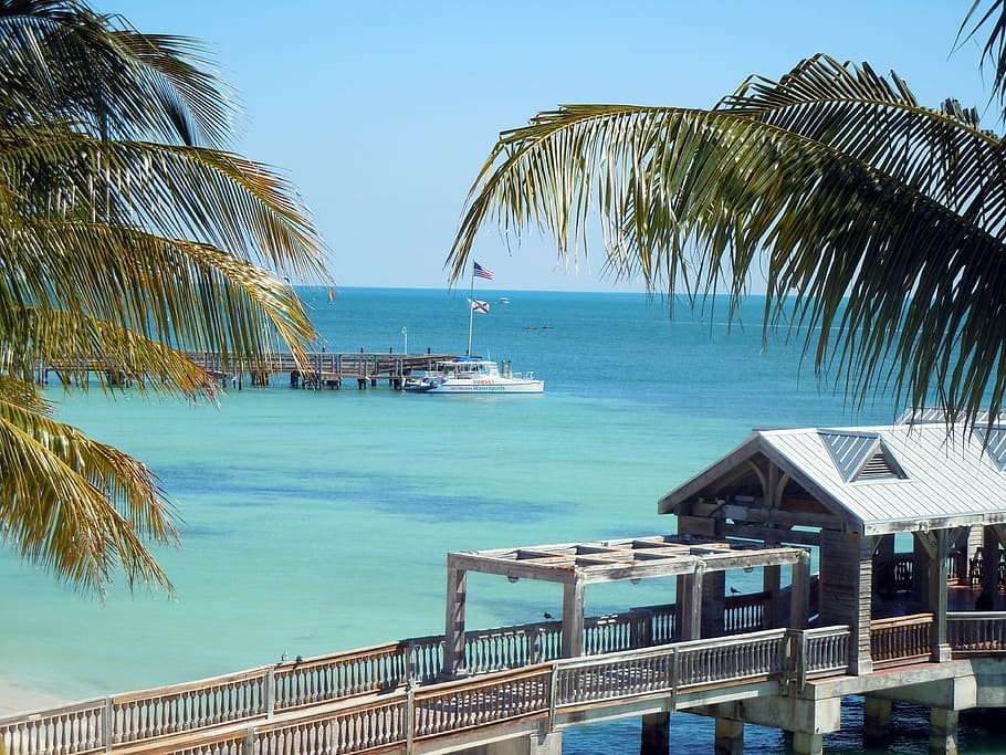 key west, florida, paradise, beach, ocean, sea, vacations, palm Tree, HD wallpaper