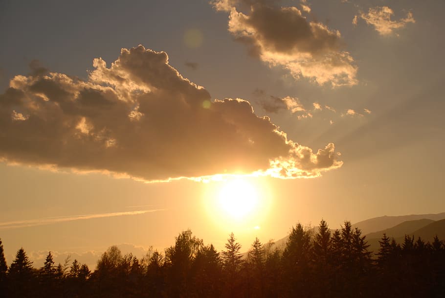 backlight, cloud, sky, blue sky, white clouds, trees, calm HD wallpaper