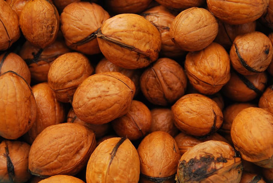 Walnut, Shell, Delicious, Food, Walnuts, tasty, brown, nut - Food HD wallpaper