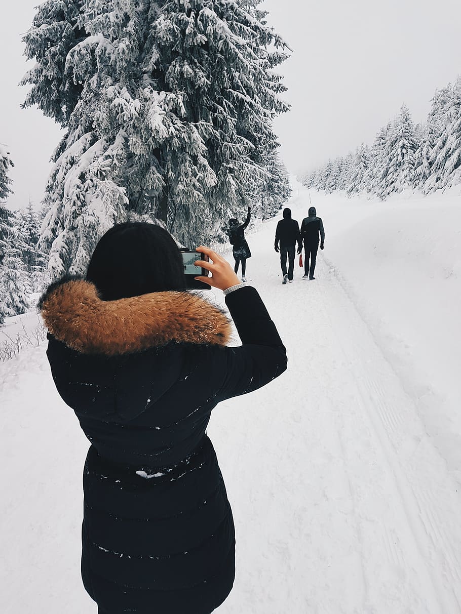 Woman in Black Coat Taking a Picture of Three Person in Front of Her While Walking Through Snow Field HD wallpaper