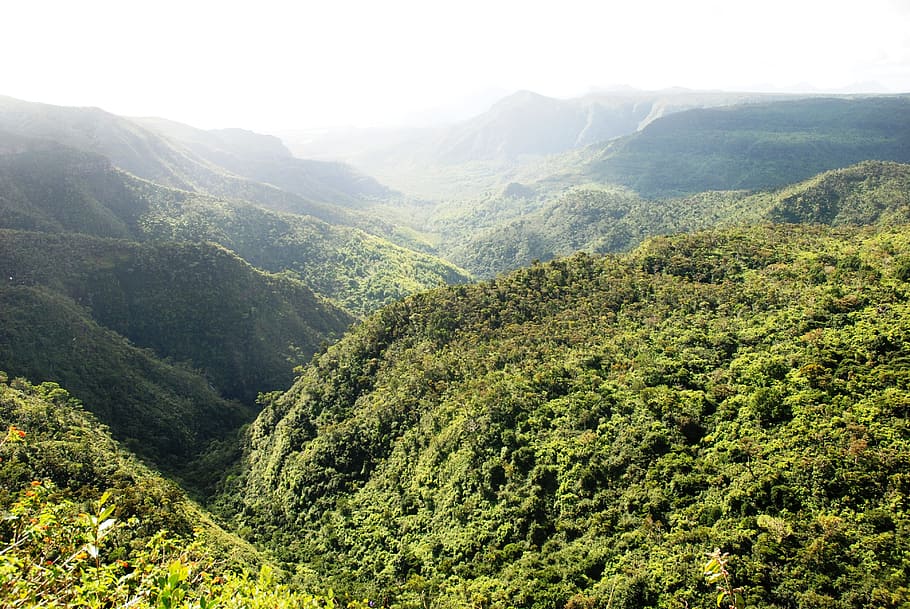 bird's-eye view photography of green mountains, mauritius, jungle, HD wallpaper