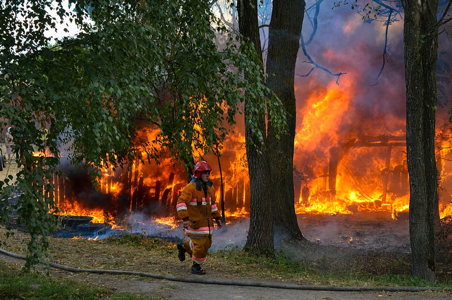 fire, hot, firefighter, trees, burn, stew, flame, wood, flaming HD wallpaper