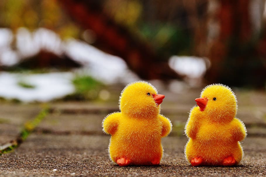 chicks, easter, cute, figure, easter theme, sweet, decoration HD wallpaper