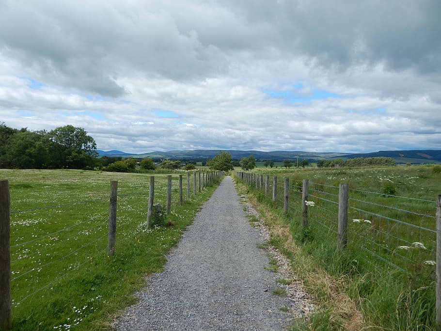 laurencekirk, pathway, cloudy sky, nature, rural Scene, fence HD wallpaper