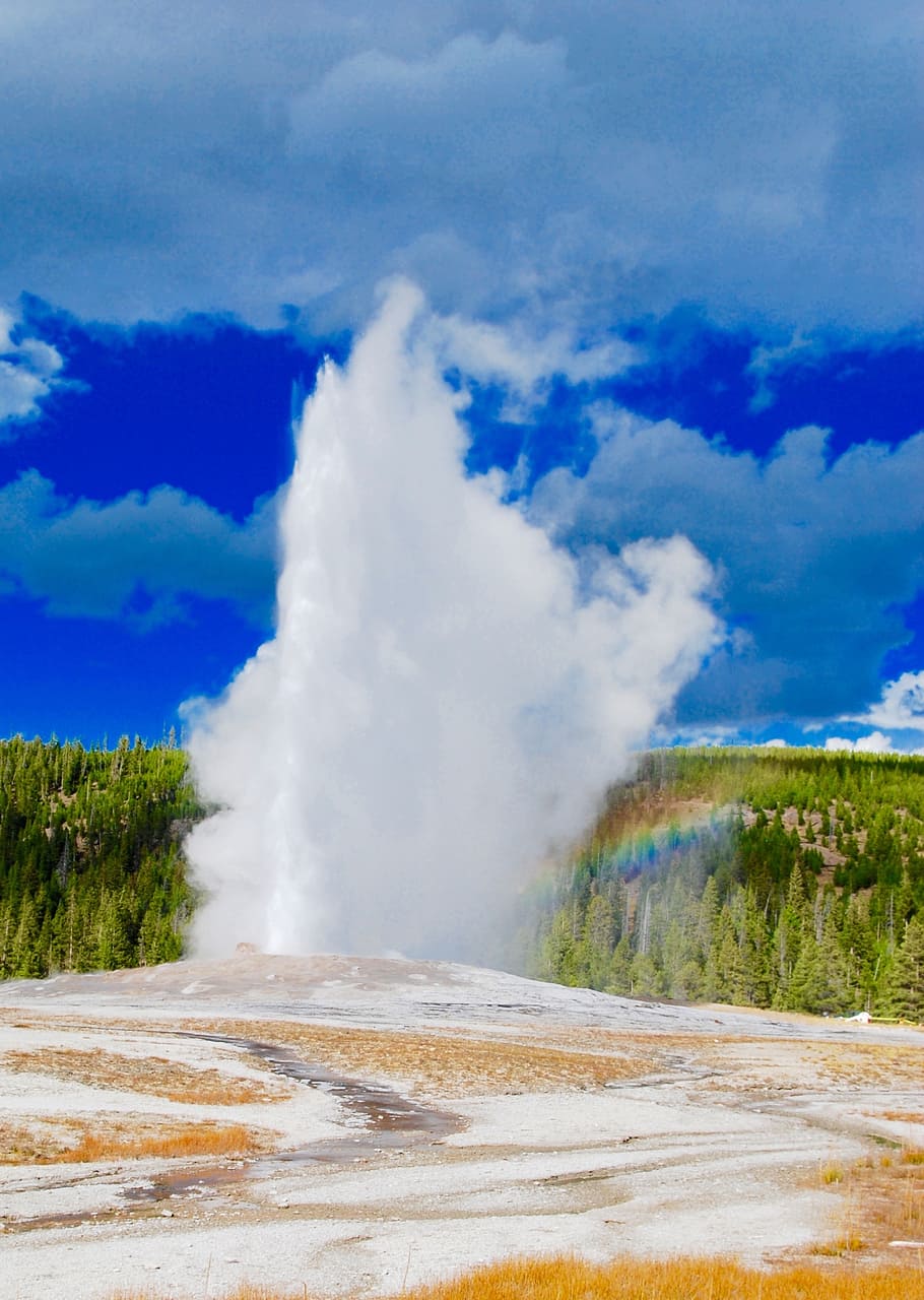 geyser, aspen, mountains, yellowstone, national, park, clouds, HD wallpaper