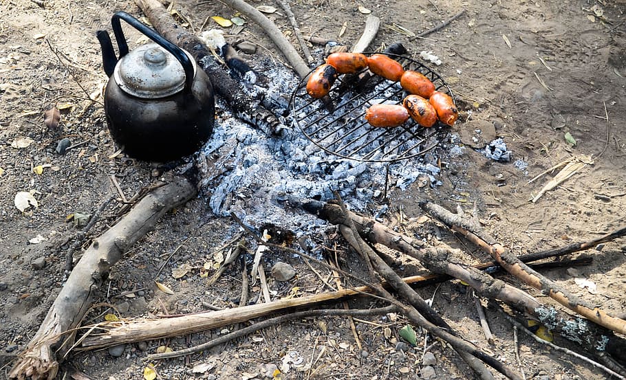 Tea, Lena, Fire, Flames, Campfire, Heat, bonfire, firewood burned HD wallpaper