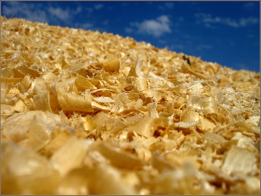 background, sawdust, yellow, sky, food, food and drink, selective focus HD wallpaper