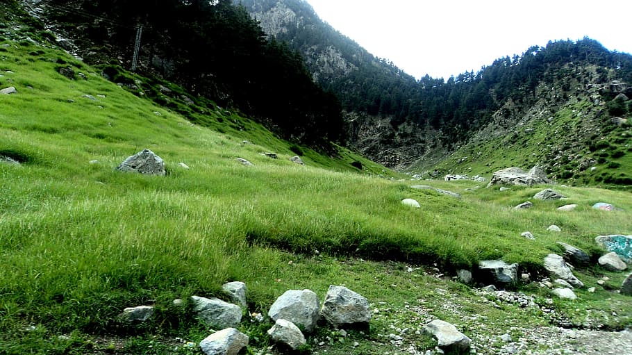 rocks on grassland, hill, valley, hillside, countryside, trees, HD wallpaper