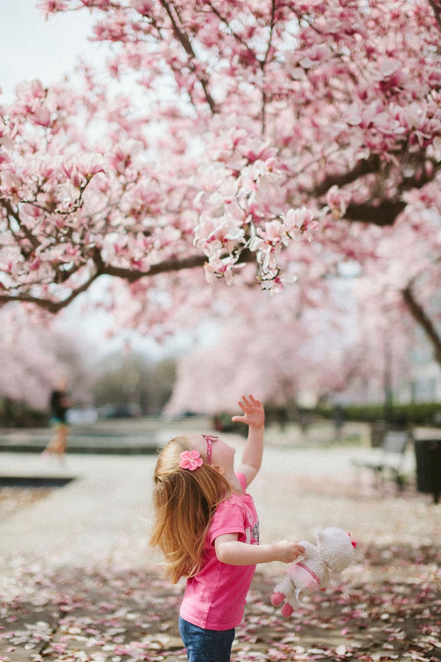 girl near the cherry blossom tree, pink Color, flower, outdoors HD wallpaper