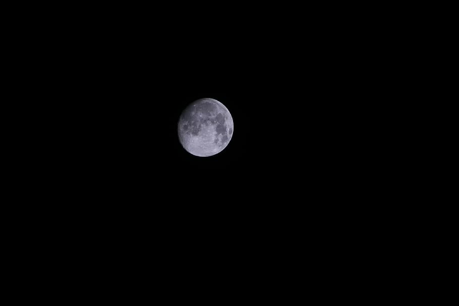 photo of full moon, nature, sky, night, darkness, black, astronomy HD wallpaper