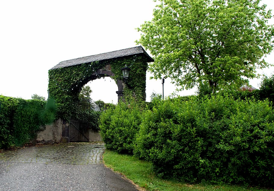Archway, Stone, Stone, Stone Wall, Middle Ages, old, alley HD wallpaper