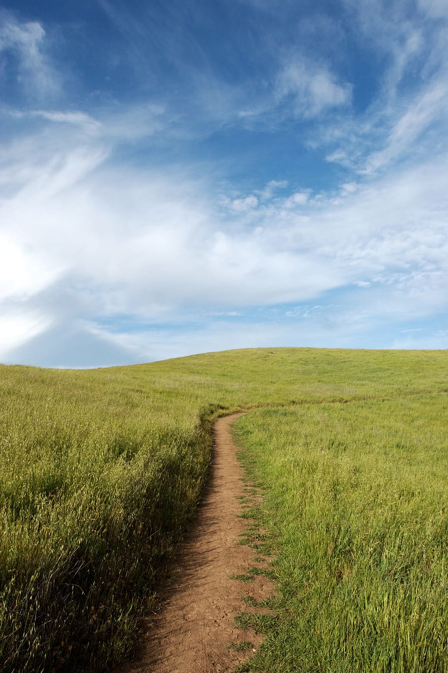 nature, green, grass, field, trek, travel, adventure, clouds HD wallpaper