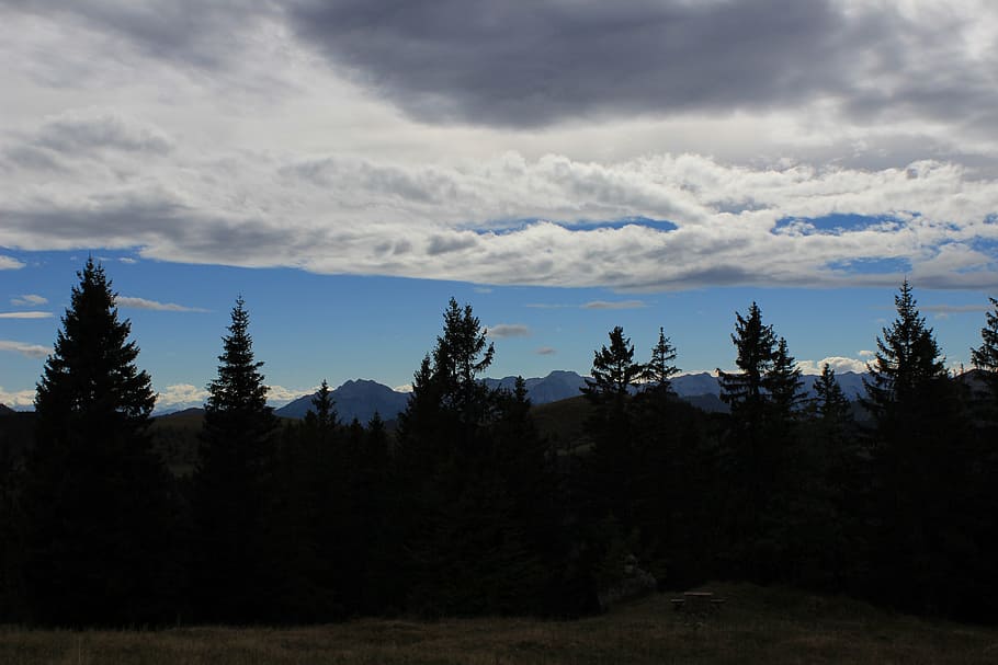 Dark Clouds, Blue, Sky, Bird, trees, landscape, covered sky HD wallpaper