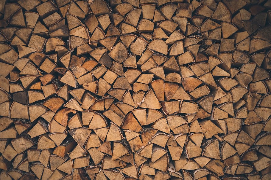 wood, forest, trees, trunk, bark, design, architecture, structure HD wallpaper