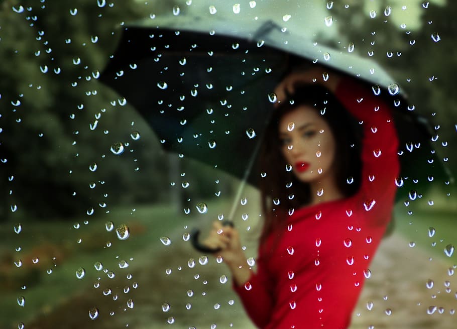 selective focus photography of water droplets, drops, rain HD wallpaper