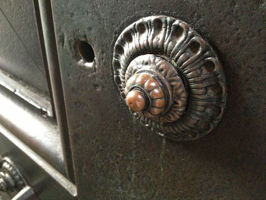 ring the bell, call button, chime, animal, animal themes, animal wildlife HD wallpaper