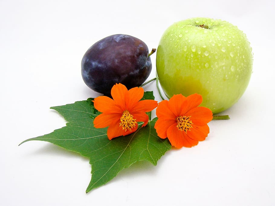 fruit, flowers, plum, apple, green, orange, white, bloom, apple - Fruit HD wallpaper