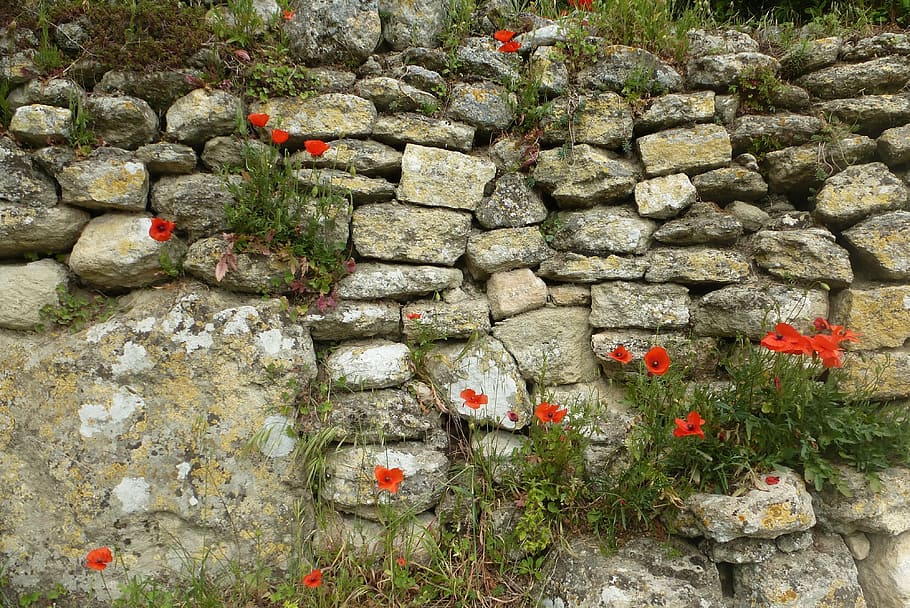 wall, stones, brick wall, background, old wall, crumbled wall HD wallpaper