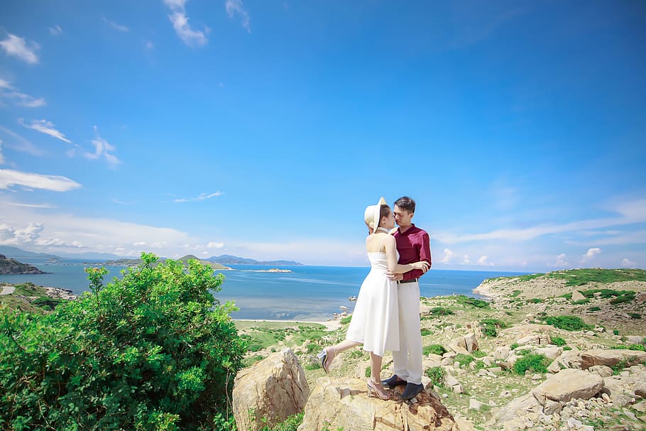 wedding, weddings, natural, field, wedding photo, beauty, picture HD wallpaper