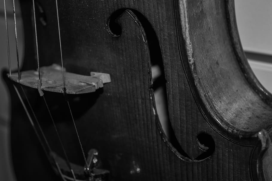 violin, music, string, instrument, close up, web, strings, f-hole HD wallpaper