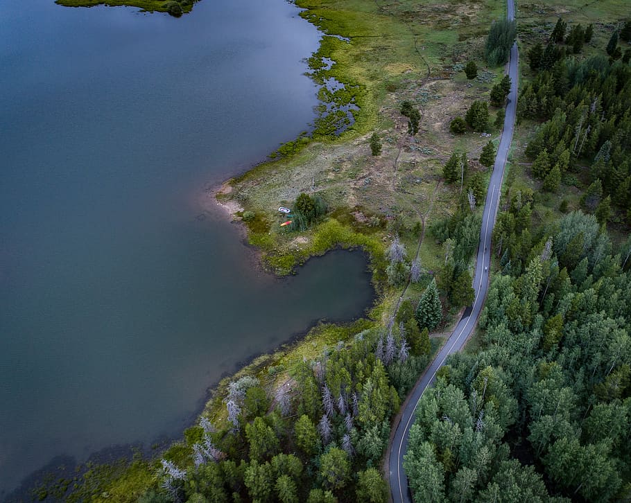 areal view of body of water and green trees, aerial photography of island HD wallpaper