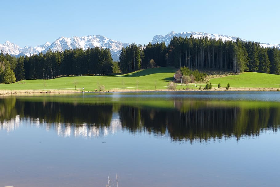 allgäu, lake, spring, reflection, water, tree, plant, golf HD wallpaper