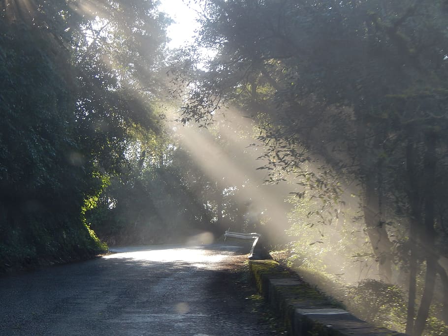 San Javier, Route, Road, Mountain, asphalt, landscape, path HD wallpaper