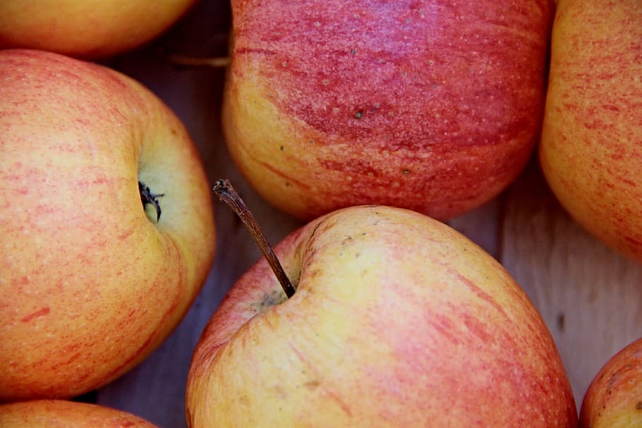 apple lot, fruit, healthy, frisch, fruits, red, vitamins, sweet HD wallpaper