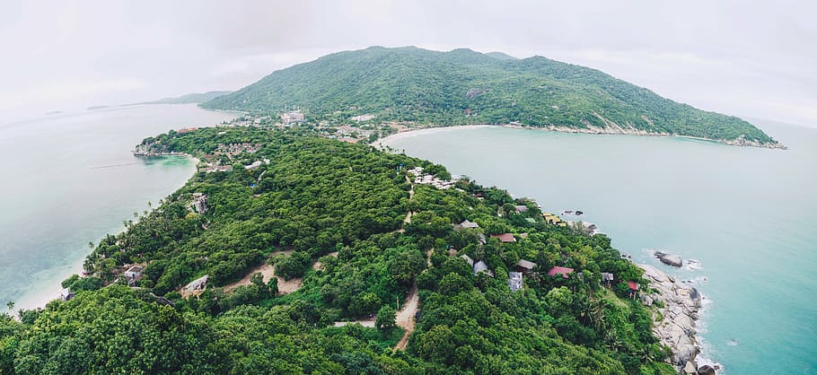 aerial view of green island, areal, tress, gray, middle, body HD wallpaper