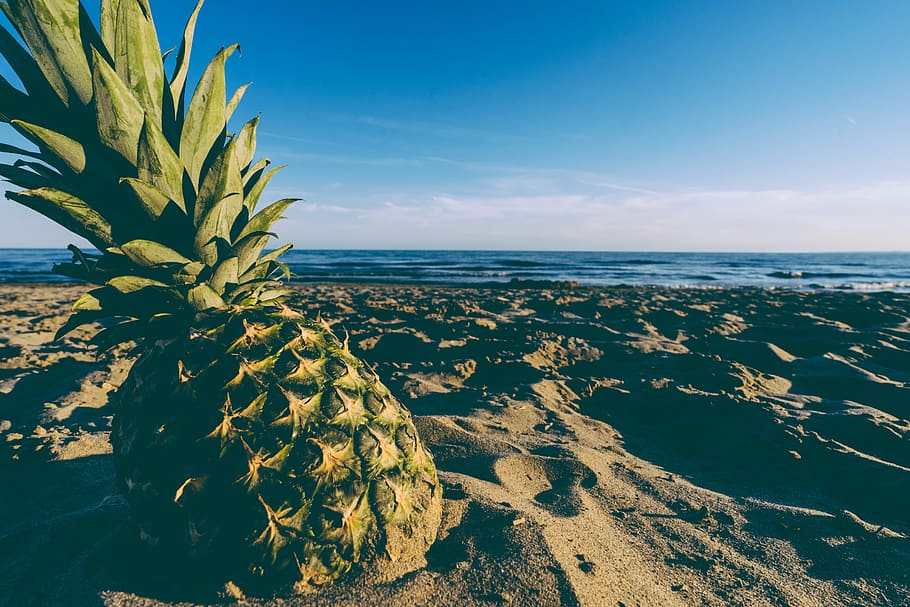 pineapple on sand, beach, blue sky, fruit, horizon, lake, ocean HD wallpaper