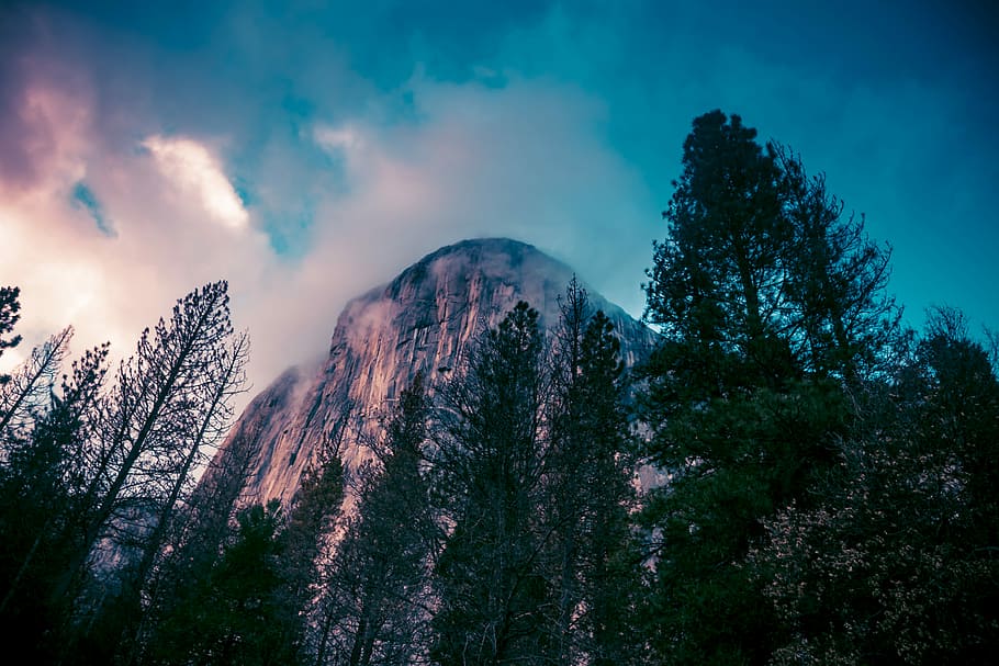 pine tree forest and mountain during daytime, sky, clouds, green HD wallpaper