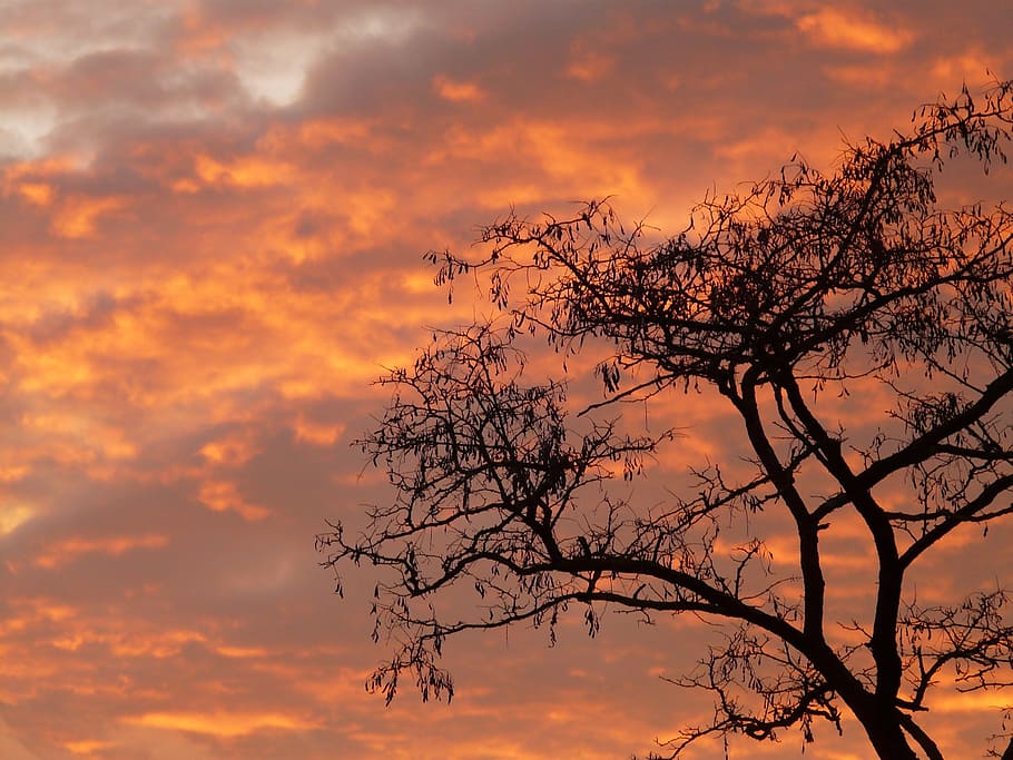 sunset, sky, clouds, abendstimmung, romance, fire, afterglow HD wallpaper