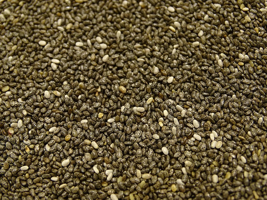 gray beads, chia, seeds, nutrition, food, water, vegetable, mexico, HD wallpaper