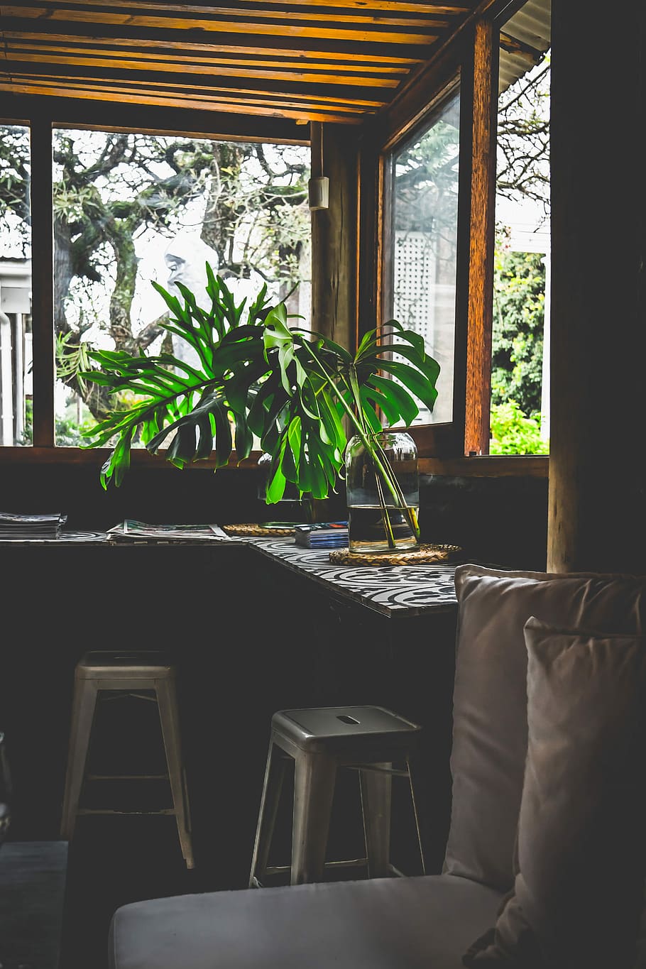 green leafed plant in jar in front of window, green leafed plant in clear glass vase HD wallpaper