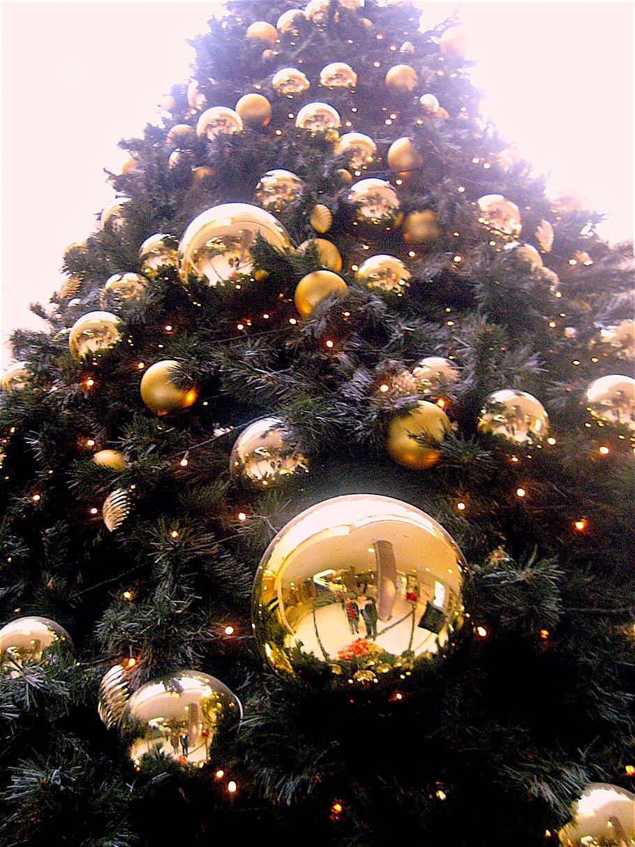 Low Angle Shot of Christmas Tree With Gold-colored Bauble, advent HD wallpaper