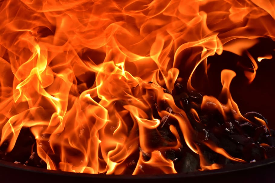 close-up photography of fire, flame, carbon, burn, mood, campfire HD wallpaper