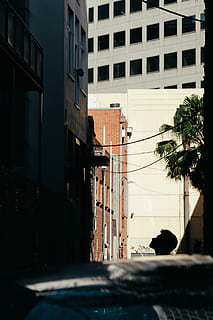man looking up at building, silhouette of man facing building HD wallpaper
