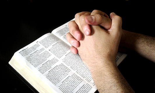 person hand on top of book with black background, interlocking hands HD wallpaper