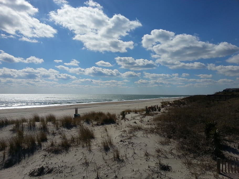 beach, shore, ocean, coast, sand, coastline, seascape, paradise HD wallpaper