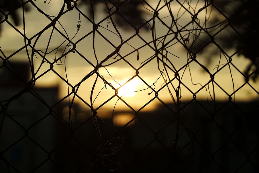 Silhouette Fence during Sunset, nobody, pattern, sky, wire, wire mesh HD wallpaper
