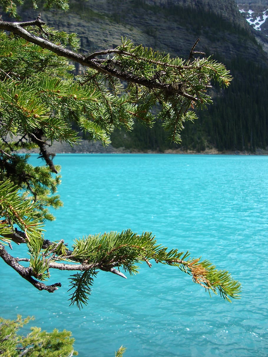 Water, Blue, Canada, Landscape, Nature, trees, more, beauty in nature HD wallpaper