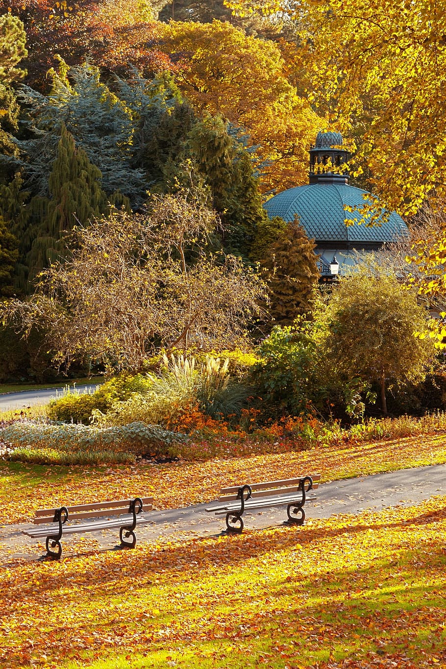 Autumn, Fall, Fall, Foliage, Bench, Landscape, leaf, leaves HD wallpaper