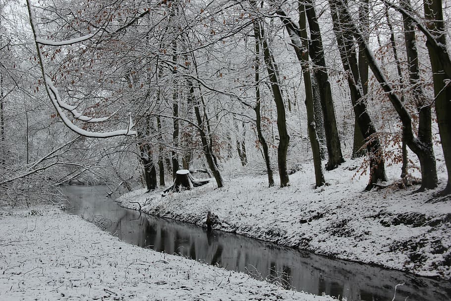 winter, snow, wintry, nature, cold, river, frost, icy, winter magic HD wallpaper
