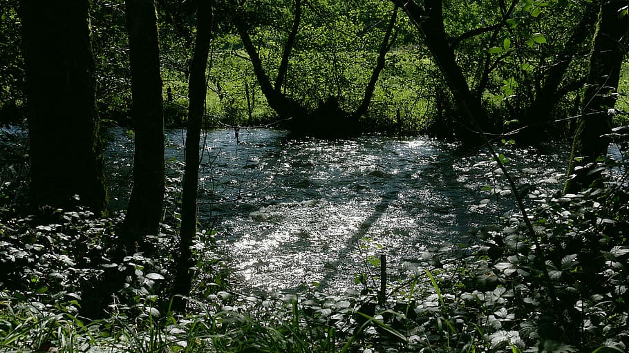 river, reflections, light, water courses, nature, light reflections HD wallpaper