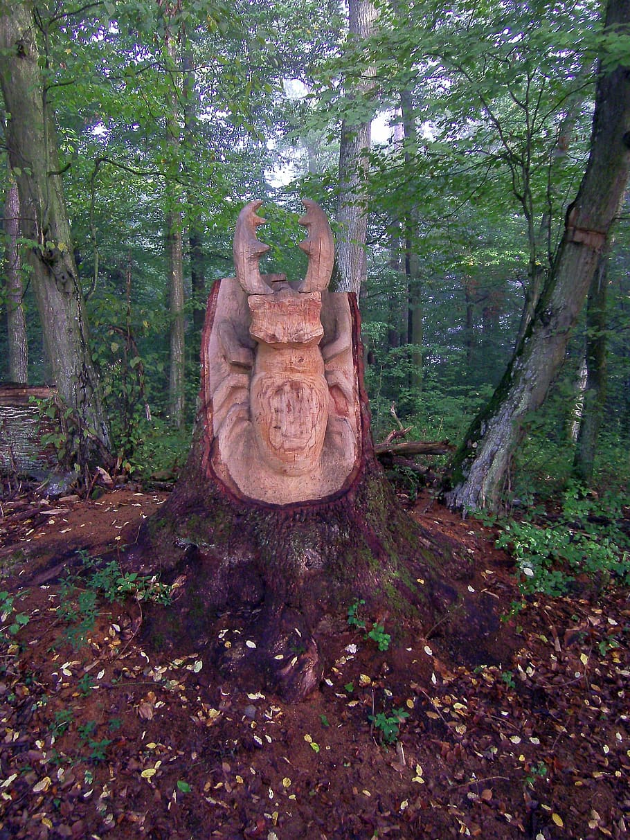 forest, beetle, stag beetle, nature, artwork, carving, sculptor